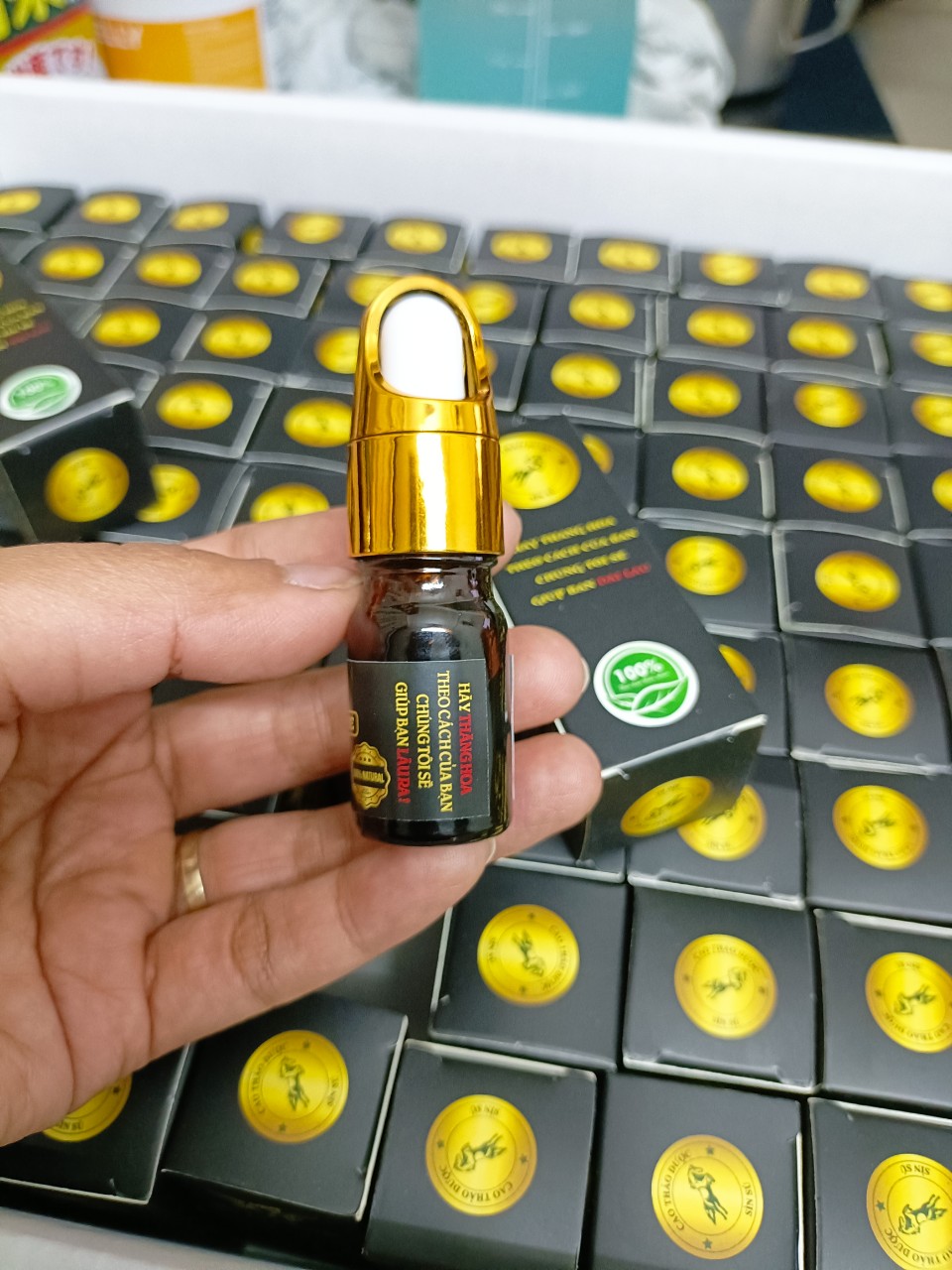 Sìn Sú Triệu Huynh Đệ